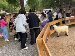 -HERRE·FARM 赫尔露营农场·团建聚会包场