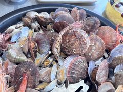 -大锅强·蒸海鲜青岛菜(吾悦广场店)