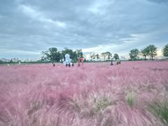 -汉长安城未央宫国家考古遗址公园