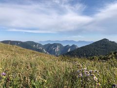 -灵山