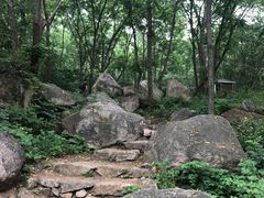 -大岭沟猕猴桃谷风景区