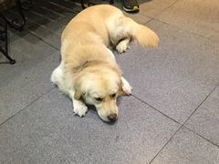 -LA CREPERIE BRETONNE布列塔尼法式餐厅(天童北路店)