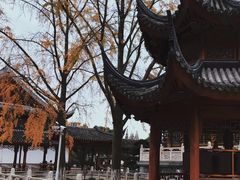 -上海东林寺(金山区)