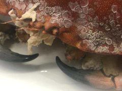 -日照大牌檔•小船海鲜(万平口店)