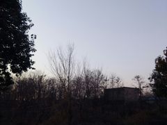 -茶肆(袁家村店)