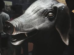 -广西壮族自治区博物馆