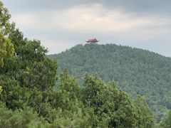 -济南战役纪念馆(济南革命烈士陵园)