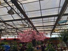 -老磨油饼(高陵店)