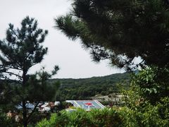 -照金红色旅游名镇