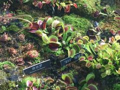 -国家植物园南园