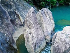 -广州白江湖森林公园