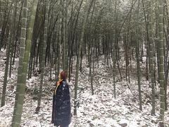 -石塘人家