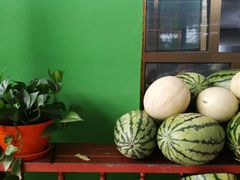 -马白开来特色羊排揪片子  (总店)