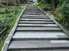 -青城山