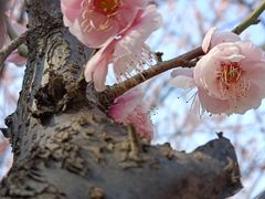 -白塘生态植物园
