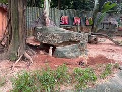 -深圳野生动物园