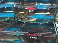 -渔中舟海鲜大排档(普陀沈家门店)