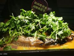 -匠子烤鱼(桫椤湾店)