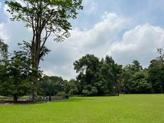 -新加坡植物园