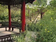-南汇桃花村