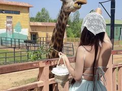 -鄂尔多斯野生动物园