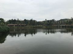 -枫香湖儿童公园