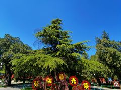 -北京市劳动人民文化宫(太庙)