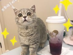 -喜茶(北京五棵松华熙店)