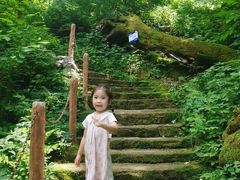 -天女山森林公园