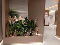 -美华丁香门诊部·全科·妇儿·口眼