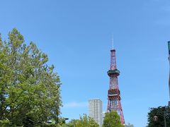 -大通公园
