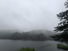 -庐山风景区花径公园