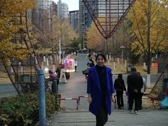 -长白岛森林公园