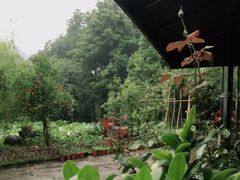 -西院1号(龙井店)