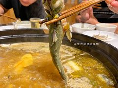 -秧秧鱼小鱼火锅(冉家坝总店)