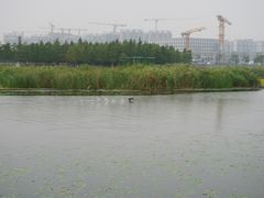 -春花秋色城市公园