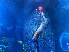 -太平洋海底世界