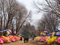 -洛阳市隋唐城遗址植物园
