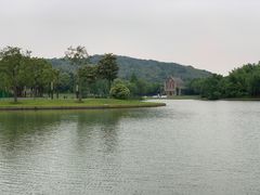 -上海佘山世茂艾美酒店