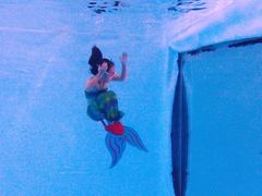 -上海潜殿潜水中心