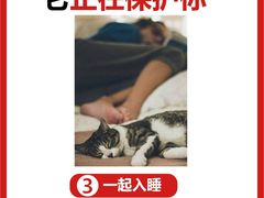 -瑞派福兴宠物医院犬猫全科·骨科·中西医结合(河东店)