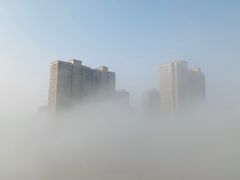 -青枫公园