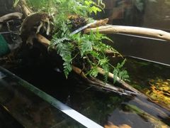 -灵龟之家百象馆(百象馆联合旗舰店)