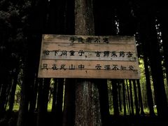 -武陵山森林公园