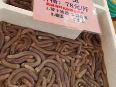 -荔城生鲜盛宴(番禺旗舰店)