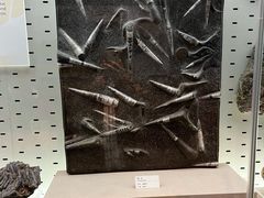 -浙江自然博物院(杭州馆)