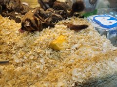 -青石桥花鸟鱼虫市场(叠翠城店)