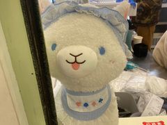 -怪兽屋·羊驼·猫咖·狗咖(俊华广场店)