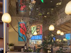 -桂满陇·海市蜃楼·黑金(国金店)