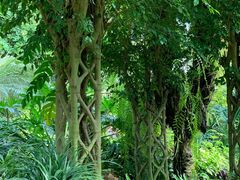 -华南国家植物园-售票处